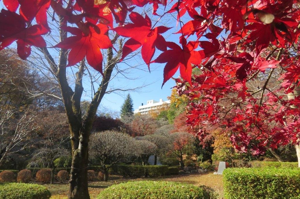 平安の庭