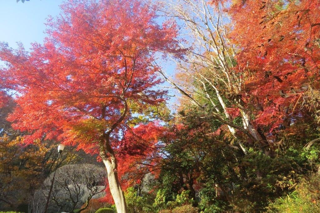 平安の庭