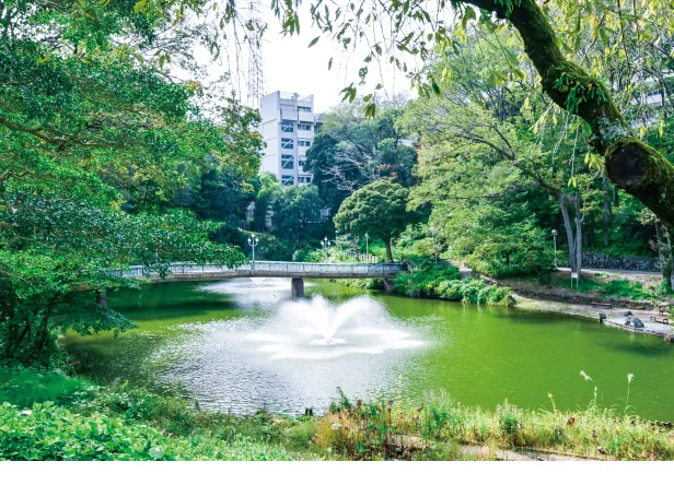 豊かな緑に囲まれたキャンパス内の池と水を吹き上げる噴水