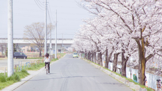 また