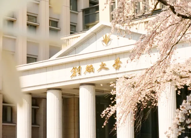 満開の桜の木々の奥に見える創価大学の本部棟