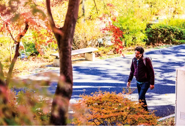 紅葉の木々の間から見えるキャンパス内を歩く外国人学生
