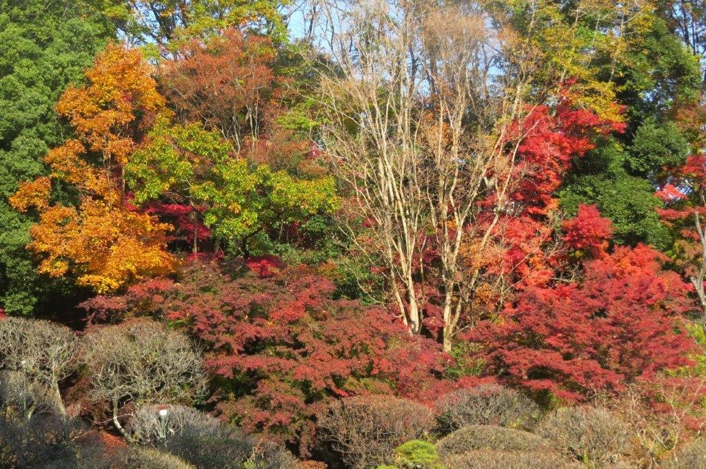 平安の庭