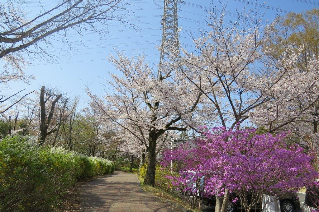 千花道