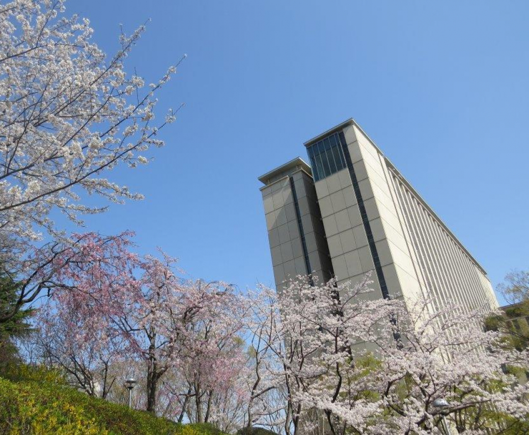 丹木の歳時記2019　卯月（二）