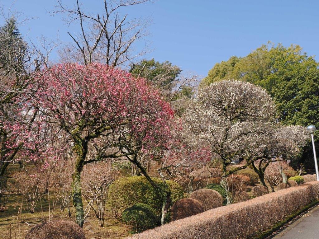 平安の庭