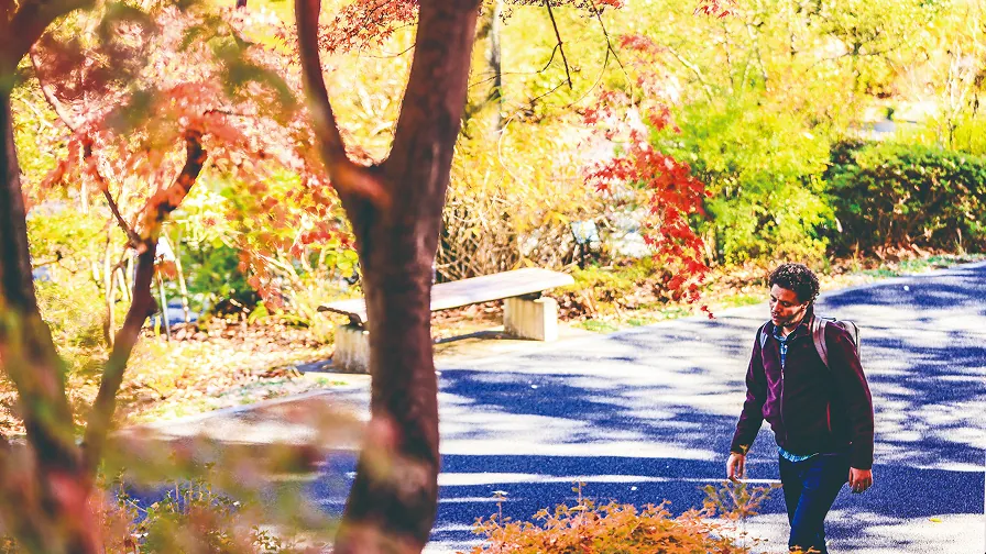 紅葉の中を歩くリュックの男性