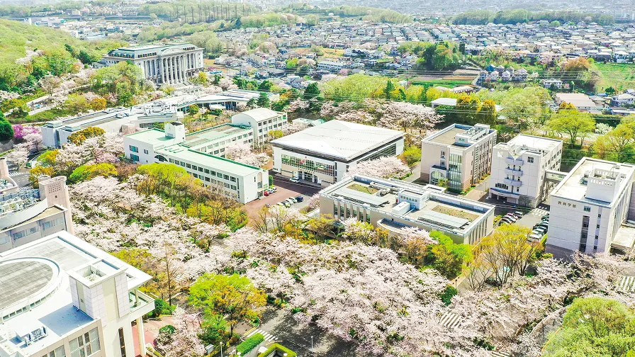 桜が咲く創価大学のキャンパス